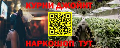 молекула духа Бердск