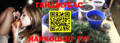 гашик Владивосток