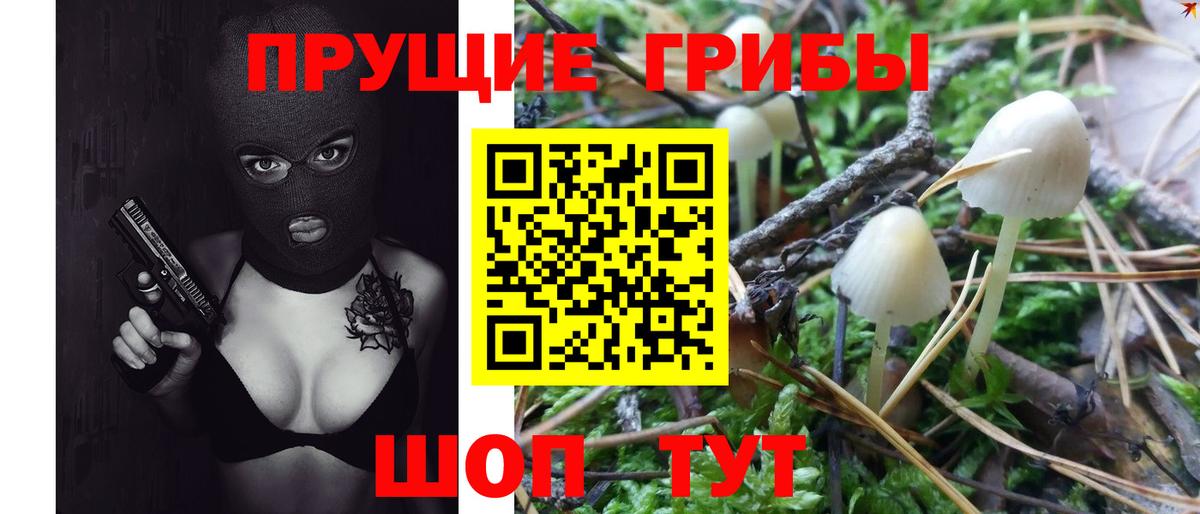 Армавир  Псилоцибиновые грибы Psilocybe  Вход с VPN  Псилоцибиновые грибы мухоморы 